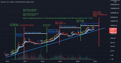 btc chart with halving